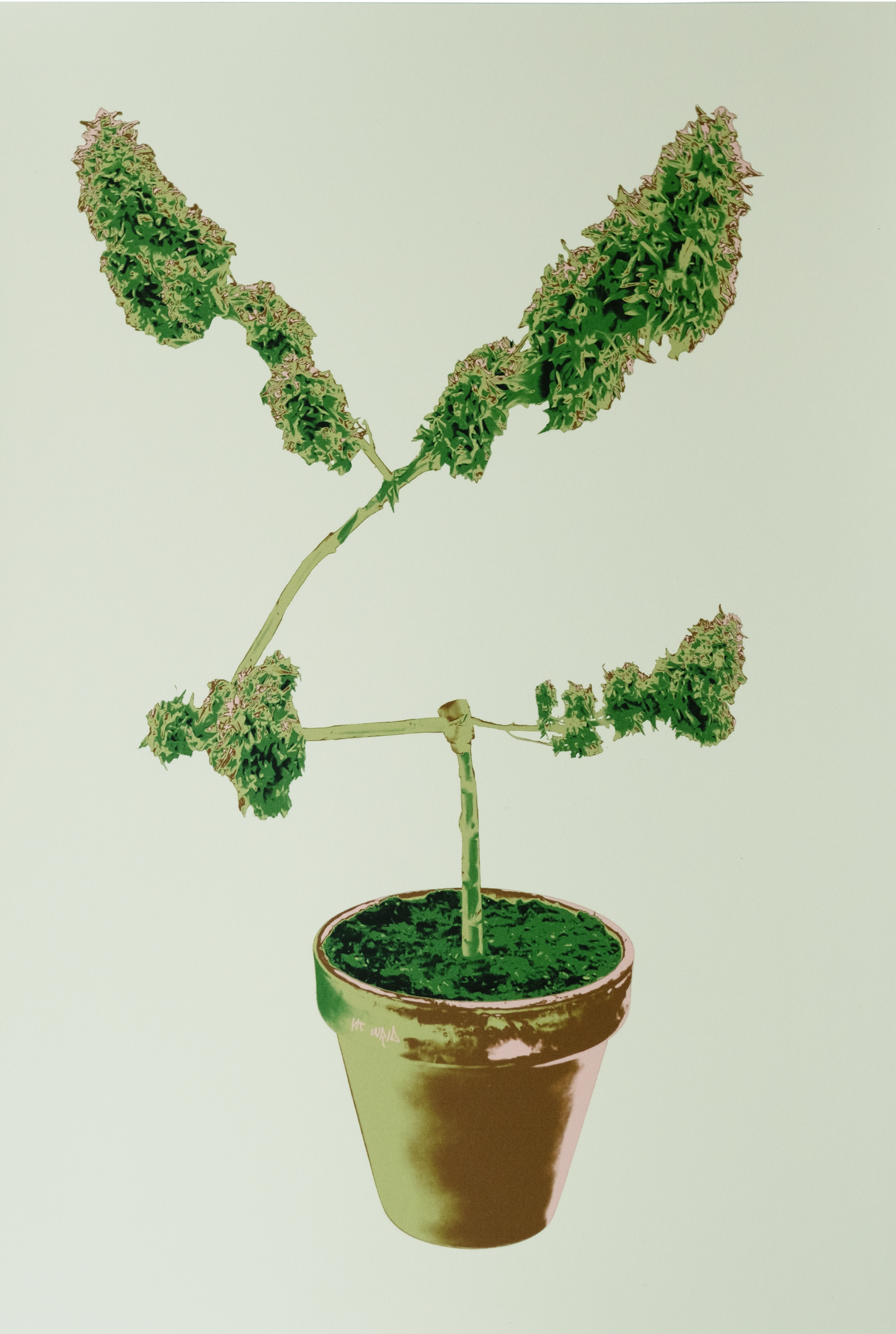 YLT PLANT PRINT