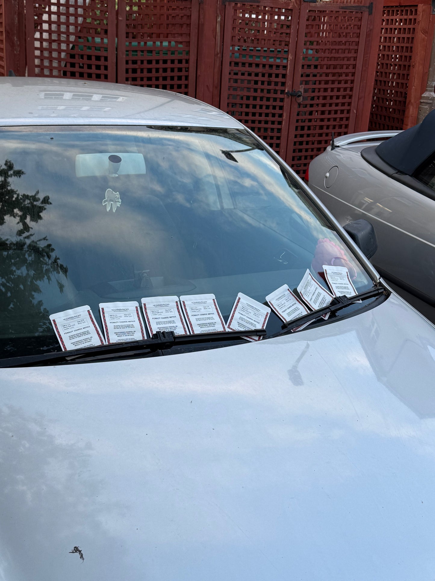 Parking Ticket Mylar Bag