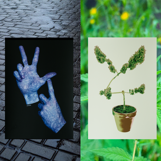 YLT Hands & Plant Print BUNDLE
